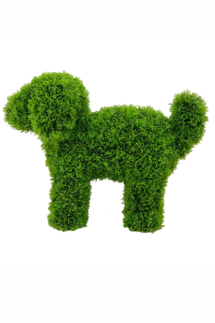 LUNA Topiary Cypress Puppy -