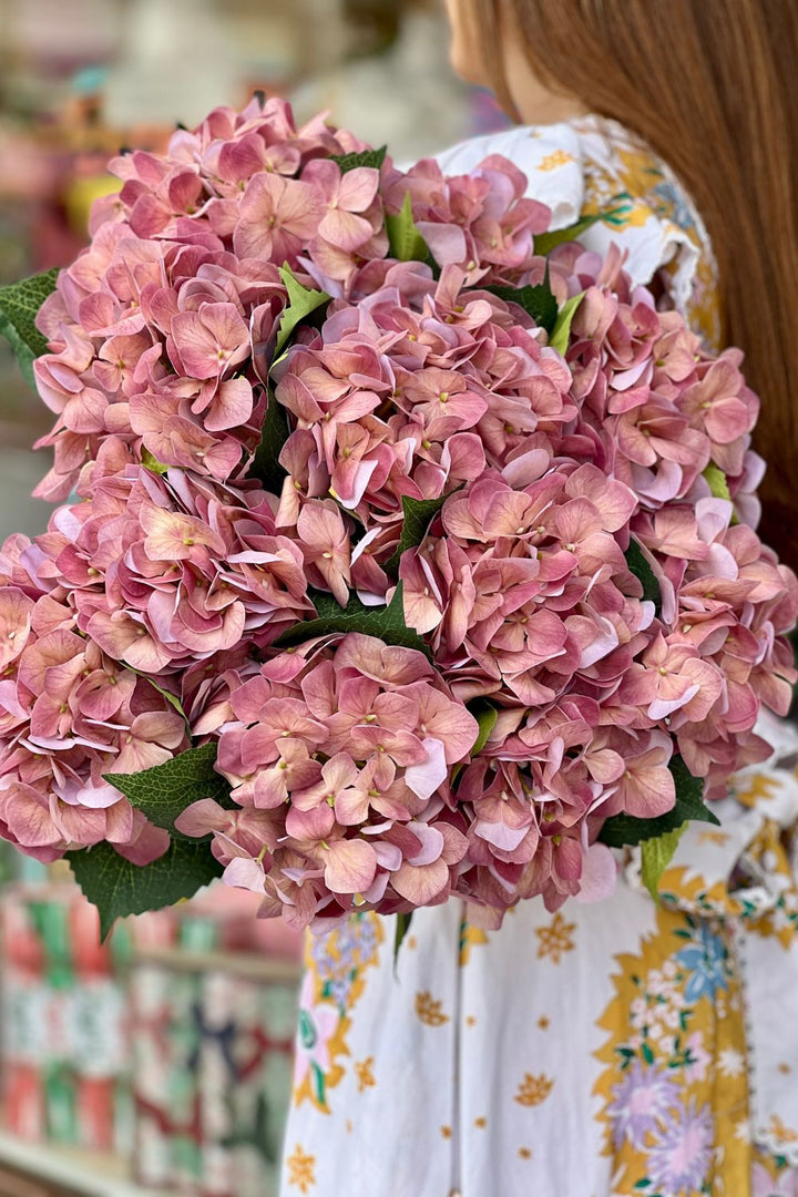Hydrangea Dusty Pink