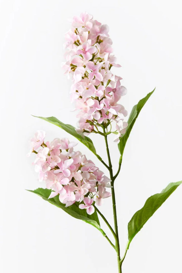 Hydrangea Cone Spray