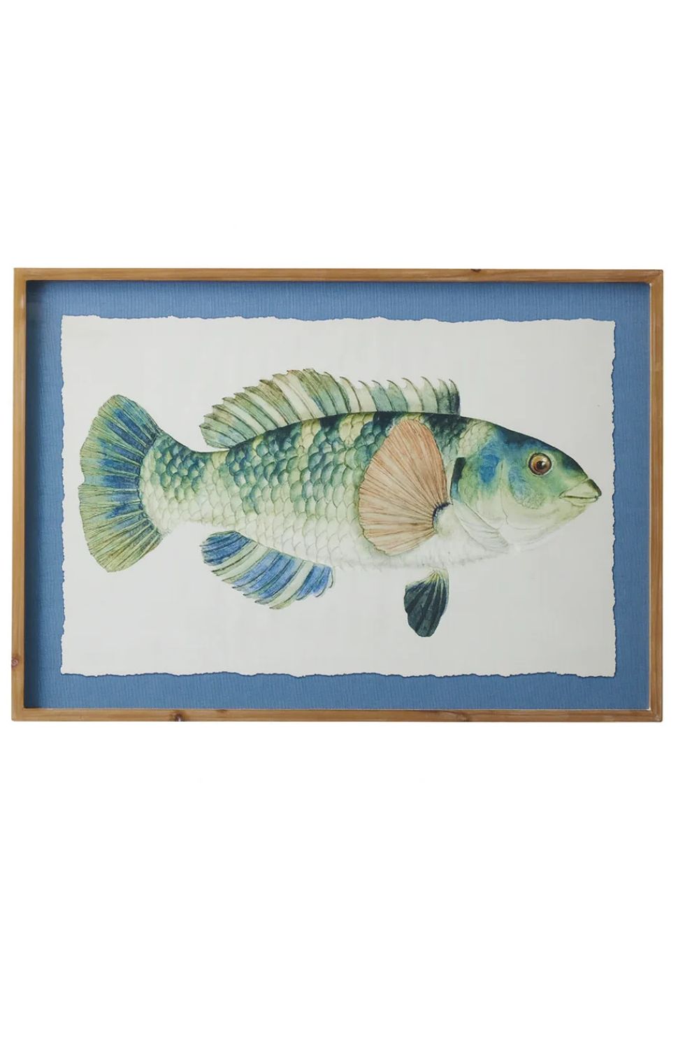 Green Fish Glass Framed Print - Crate Expectations