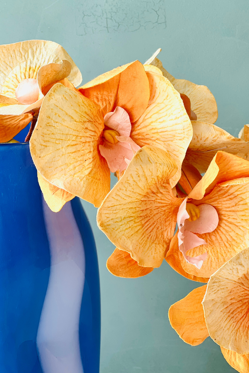 Paper Orchids - Apricot