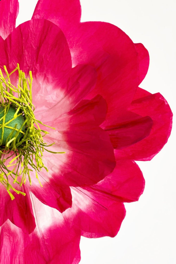 Poppy Paper Flower- Claret/Pink
