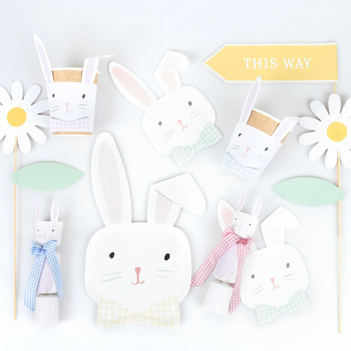 Easter Bunny Large Napkins (16 pack)