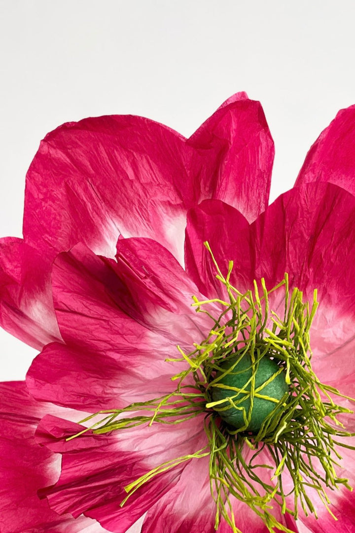 Poppy Paper Flower- Claret/Pink