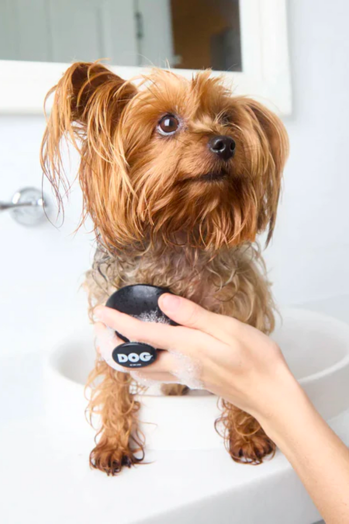 DOG BY DR LISA - Shampoo brush