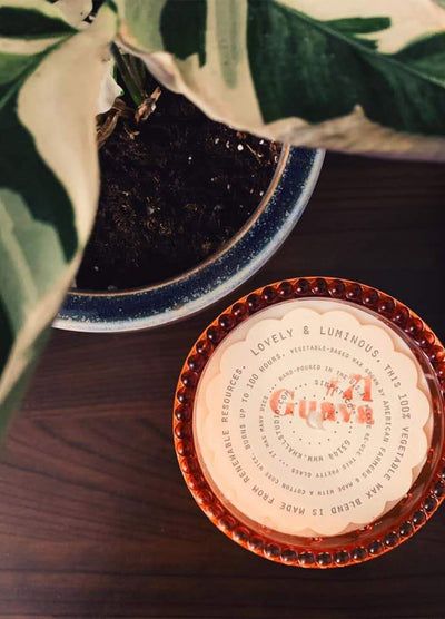 SIMPATICO - GUAVA HOBNAIL 100HR CANDLE